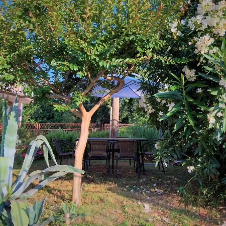 Agava Istria - Family Vacation With Free Parking, Garden, Wifi Liznjan