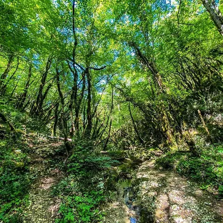 Agava Istria - Family Vacation With Free Parking, Garden, Wifi Apartment