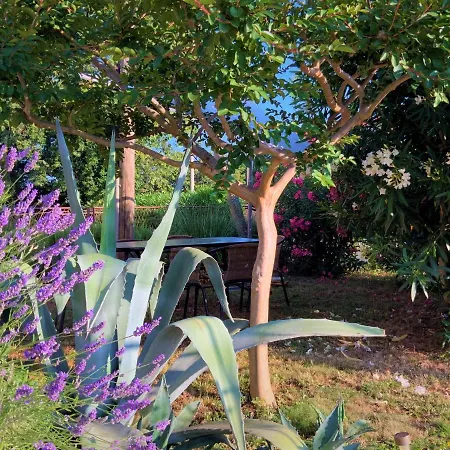 Agava Istria - Family Vacation With Free Parking, Garden, Wifi * Liznjan