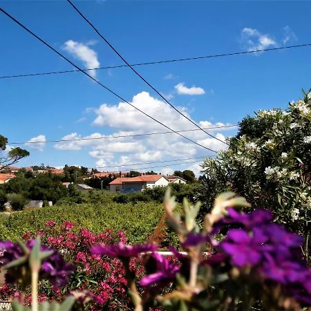 Agava Istria - Family Vacation With Free Parking, Garden, Wifi *