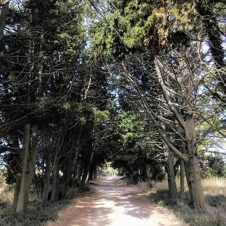 Apartment Agava Istria - Family Vacation With Free Parking, Garden, Wifi
