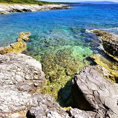 Agava Istria - Family Vacation With Free Parking, Garden, Wifi