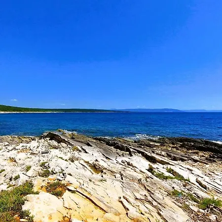 Agava Istria - Family Vacation With Free Parking, Garden, Wifi *
