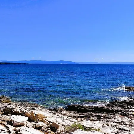 Agava Istria - Family Vacation With Free Parking, Garden, Wifi Apartment *