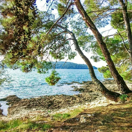Apartment Agava Istria - Family Vacation With Free Parking, Garden, Wifi *