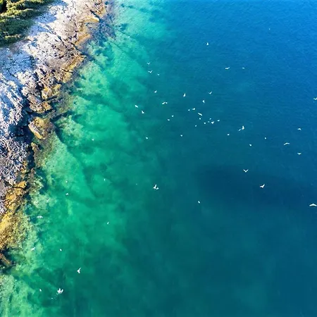 Agava Istria - Family Vacation With Free Parking, Garden, Wifi * Ližnjan