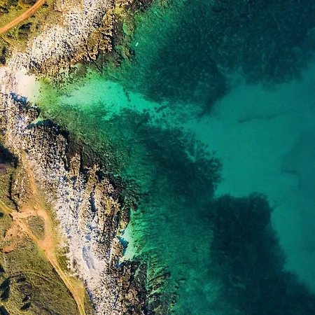 Agava Istria - Family Vacation With Free Parking, Garden, Wifi Ližnjan